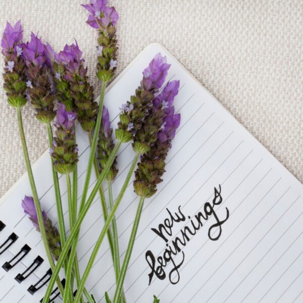 Embracing new beginnings after a breakup
